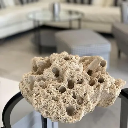 Ansay With Heated Swim Pool And Sea View